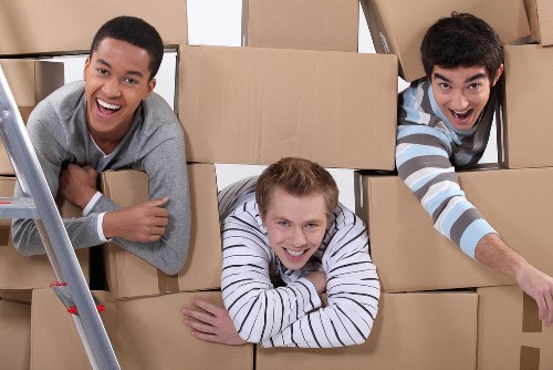 Modern Motspurpark storage for clutter-free living
